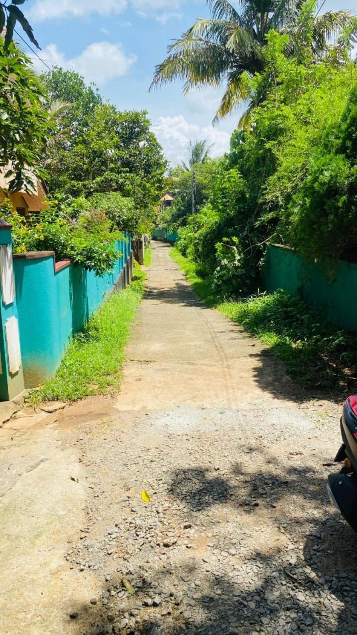 Tiny Haven Hiriketiya Homestay Dickwella