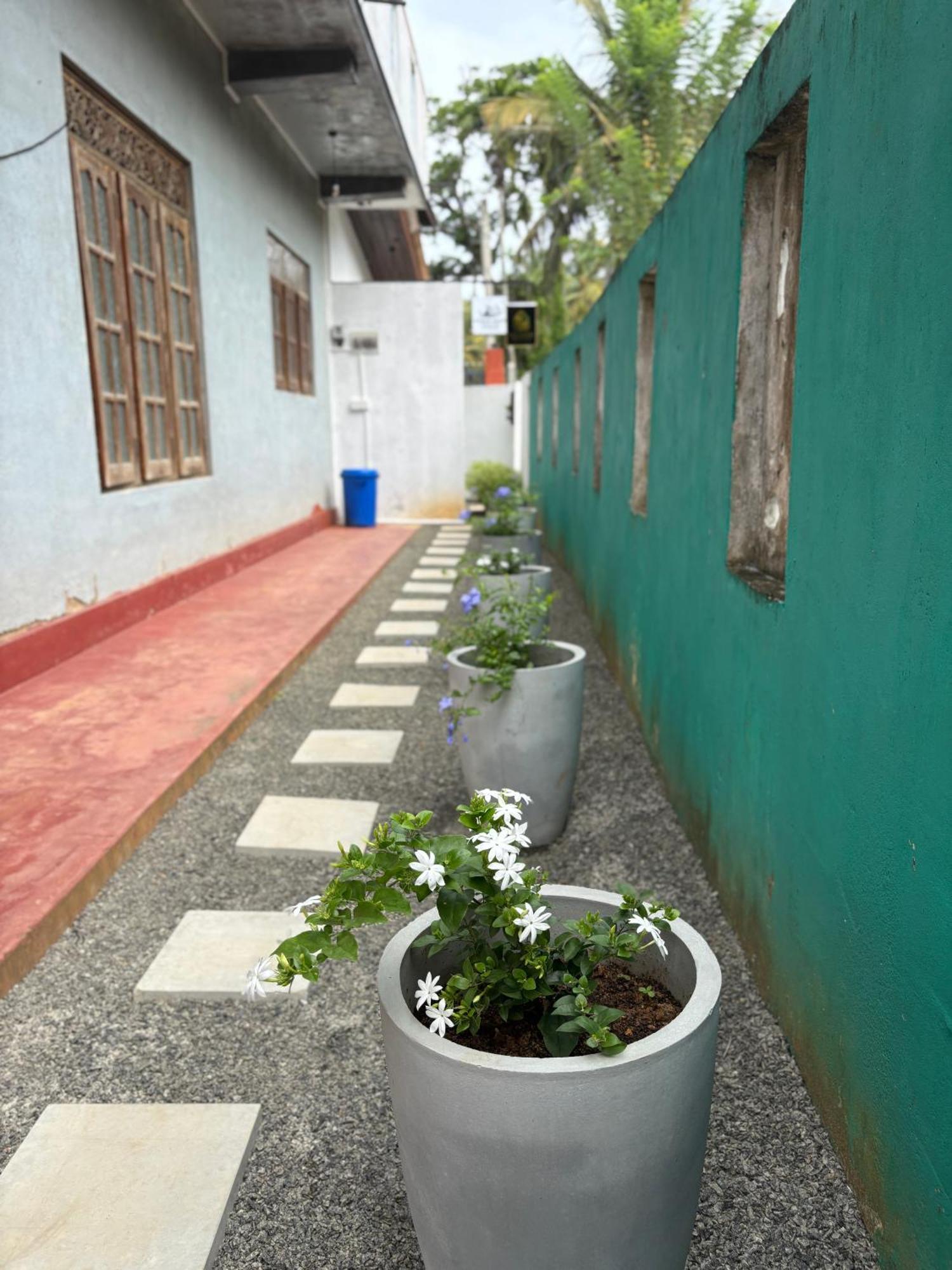 Tiny Haven Hiriketiya Homestay